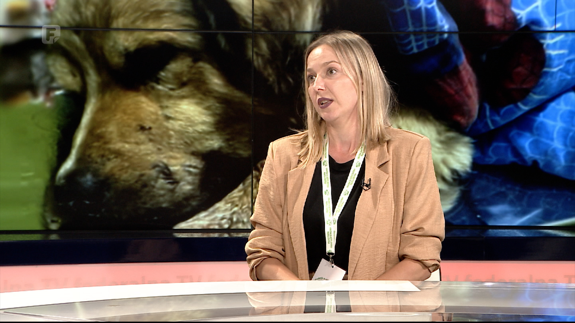 Šandal-Karić: Došlo je vrijeme kažnjavanja vlasnika